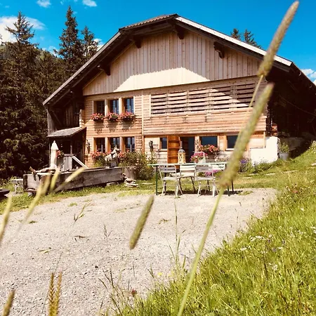 Giferspitz Apartment Gstaad
